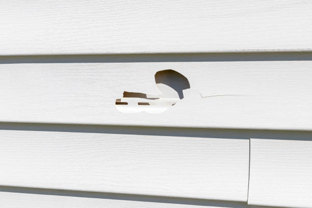 Best Siding Painting and Refinishing  in West Park, CA